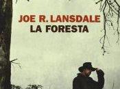 foresta