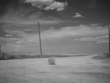 SOGNANDO IL NEBRASKA