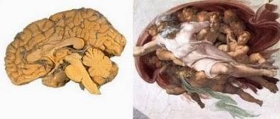 La bufala di Michelangelo neurologo