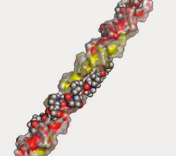 Collagene