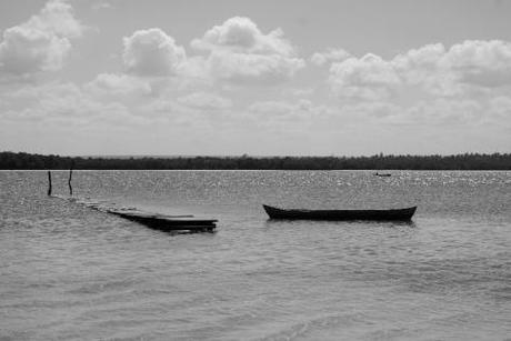 In Pictures: the beauty and the sea