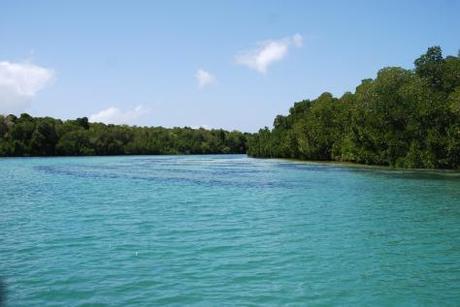 In Pictures: the beauty and the sea