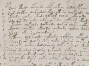 Il Codice Voynich scritto in un dialetto azteco?