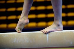 Ginnastica Artistica - Foto Massimo Pinca