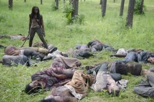 Ancora record di ascolti per The Walking Dead The Walking Dead Robert Kirkman AMC 