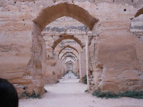 Morocco Experience - 2 Meknès: Di donne, strade e scoperte