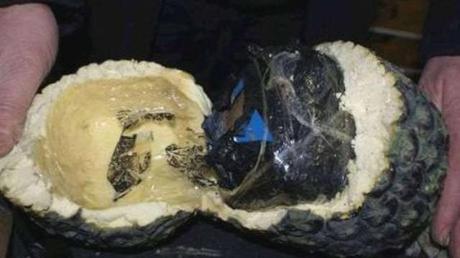 Operazione New Bridge foto ANSA