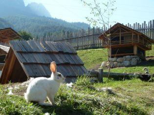 NEWS.  DOLOMITI.IT: la Pasqua in camper nelle Dolomiti a Plan de Corones e all’Alpe di Siusi. Convenienza per i genitori e speciale caccia “alla ricerca del nido di Pasqua” per i piccoli.