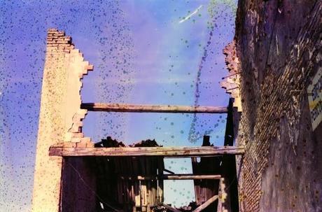 Dishwashed Ruins Dishwashed Ruins