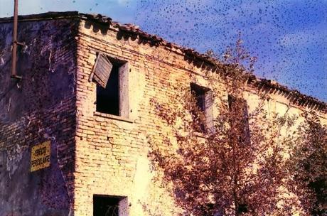 Dishwashed Ruins Dishwashed Ruins