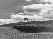 Scatti "Green Wedding" splendidi paesaggi della Toscana