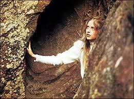 Picnic ad Hanging Rock