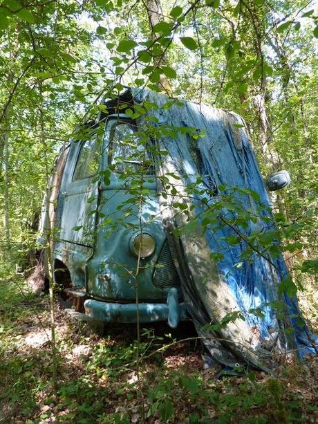 Abandoned Cars