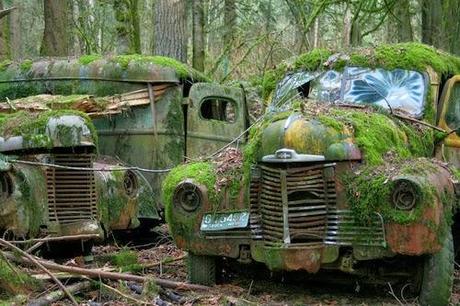 Abandoned Cars