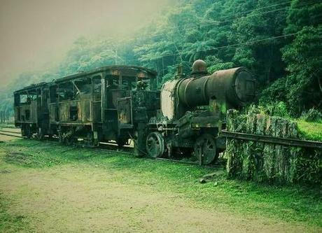 Abandoned Cars