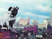 nuovo video Cibo: “Discopiede”