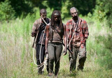 the-walking-dead-after-michonne