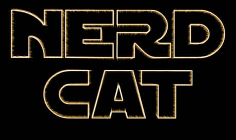 Nerd Cat – La console vincente