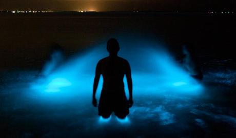 BioLuminescenceThu 071