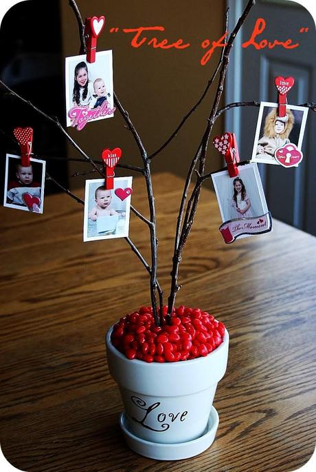 Speciale San Valentino: l'albero dell'amore