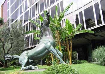 Corte dei Conti alla Rai: ''Serve rigoroso piano di contenimento dei conti''