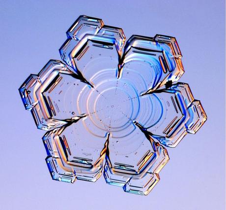 Le meraviglie dei cristalli di ghiaccio
