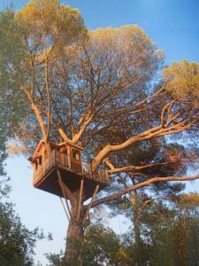 treehouse2