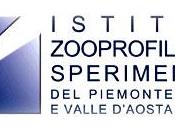 Istituto Zooprofilattico Piemonte Concorsi Tecnici