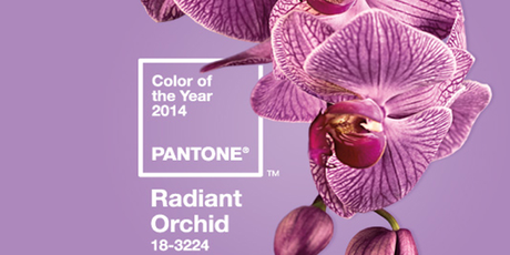 Pantone-orchid