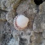 IMG 20140207 153845 150x150 Wiko Darkfull Hell: La Recensione Del Francesino recensioni  wiko Smartphone recensione MediaTek dual sim darkfull hell 