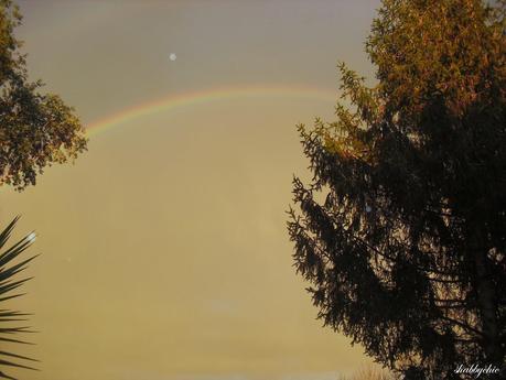 cosa accade nel mio giardino?