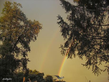 cosa accade nel mio giardino?