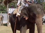 Stasera laeffe (canale Dtt) Sportivo Vagabondo" prima raccontare mondo linguaggio dello sport