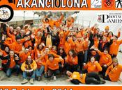 Valle Olona color Arancio..