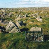 Nella splendida Irlanda: una giornata alle Isole Aran