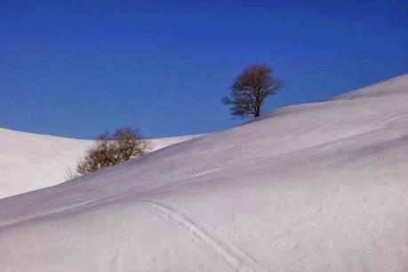 Slim Biker & Fat Bike ovvero...uscita mtb del 13/2, 2014