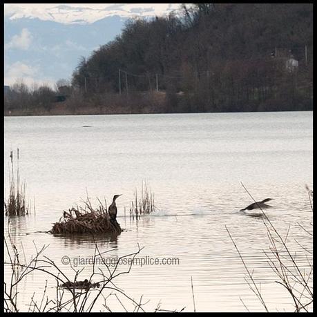 lago di Fimon