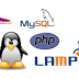 Installare un ambiente LAMP in Linux: Apache2 layout di configurazione.