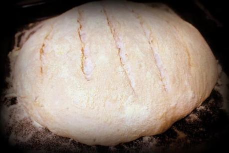 PANE CON PATATE E ROSMARINO A LIEVITAZIONE NATURALE