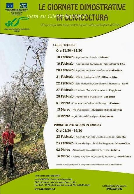Formazione in olivicoltura targata CPO Salerno.