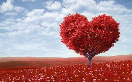 San Valentino: You, Una dichiarazione d’amore