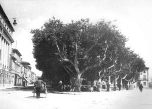 Piazza del Mirto ieri,  (Foto tratta da A Viareggio con il treno dei ricordi – Pezzini Ed. 1992) 