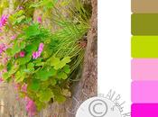 Color palette febberaio 2014 Flowers energetic colors rock