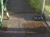 facciamo riflessione tempi passaggio dell'Ama nelle strade. Confrontando quelli ufficiali reali?