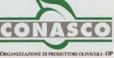 Calabria: nuovi corsi per assaggiatori di olio.