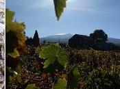 Eataly Tenuta Fessina: maggio, l’Etna Torino