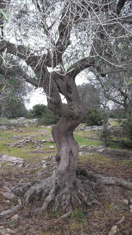 La Terra che mi ospita