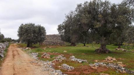 La Terra che mi ospita