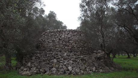 La Terra che mi ospita