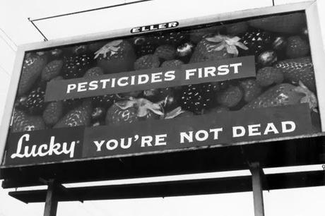 Il Dipartimento Correzionale della California